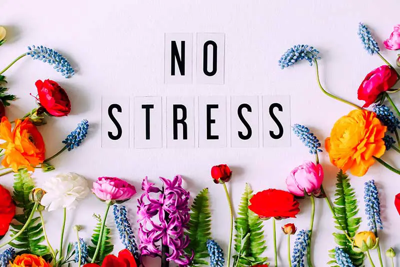 Tipps gegen Stress