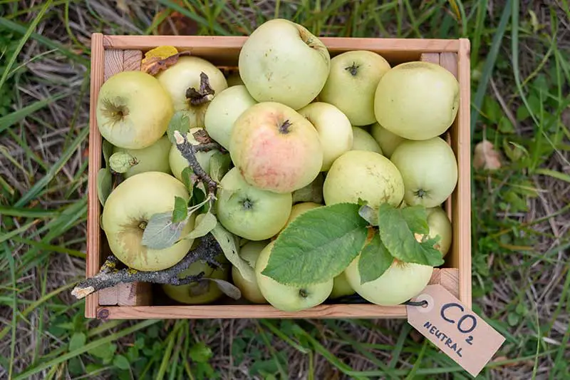 Klimafreundliche Ernährung